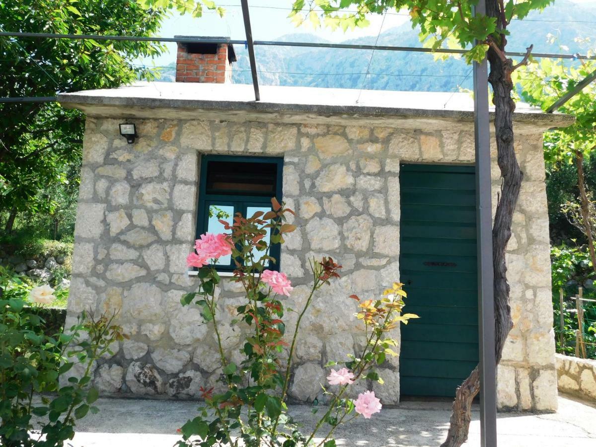 Apartman Niki Makarska Esterno foto